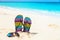 Multicolored flip-flops and sunglasses on a sunny beach.Tropica
