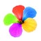 Multicolored flower.Isolated.