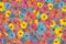 multicolored flowers,flowery background,texture full frame