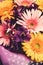Multicolored Gerbera bouquet