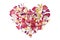 Multicolored heart shape flower petals on white background isolated close up, heart form floral decorative design element