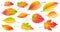 Multicolored leaves of autumn trees and shrubs isolated on white background. Collection of generative AI illustrations