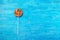 Multicolored lollipop on painted blue wooden background, close u
