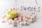 Multicolored marshmallows with notes on paper sweets