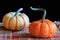 Multicolored Miniature Pumpkins