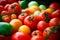 Multicolored organic tomatoes. Harvest of vegetables. Healthy fruits