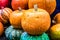 Multicolored pumpkins background