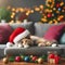 Multicolored relaxed cat lying on a gray sofa in a Santa\\\'s hat with blurred Christmas