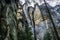 Multicolored rock formations, various shapes and trees