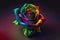 multicolored rose.