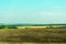 Multicolored rural summer landscape. Yellow field of wheat ears and plowed brown arable land. Green stripes of the forest.