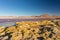 Multicolored Salt Lake with flamingos on the Bolivian Andes