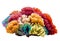 multicolored sea coral, detailed photo, isolated,cut out