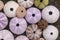 Multicolored sea urchin shells on wet black volcano sand. Variety of colorful sea urchins on the beach. Group of seashells on