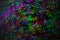 Multicolored special defocused background. Abstract, blurred natural photo