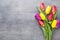 Multicolored spring flowers, tulip on a gray background.