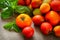 Multicolored tomatoes on fabric background
