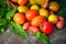 Multicolored tomatoes on wooden background