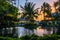 Multicolored tropical dawn with pond and palm trees, white pelican