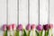 Multicolored tulips background