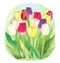 Multicolored tulips, illustration for postcards, poster perfume. picture in Photoshop, on the theme of spring