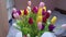 Multicolored Tulips On The Table