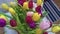 Multicolored Tulips Top View