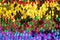 Multicolour Beautiful iridescent sequins texture, fish scale fabric background, close up