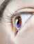 Multicoloured eye