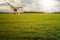 Multicopter drone flying over crops field