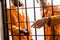 multicultural prisoners standing near prison bars