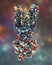 Multidrug transporter molecule, 3D illustration