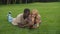 Multiethnic family of four relaxing on green lawn