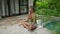 Multiethnic woman meditates, peaceful by pool in tropical garden. Eyes closed, serene face, lotus position. Wellness