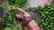 Multiethnic woman stretches in upscale outdoor gym, surrounded by tropical plants. In slow motion, warms up, embodying