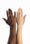 Multiethnic young women bare hands as racism freedom, they show business friend team harmony, have positive expressions agreement