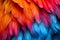 Multihued Feather Abstract Close Up.