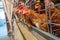 Multilevel production line conveyor production line of chicken eggs of a poultry farm