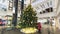 Multilevel shopping mall interior decorated with christmas tree timelapse hyperlapse