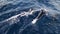 Multiple Atlantic dolphins jumping in the ocean