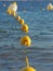 Multiple buoys in the water.