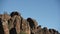 Multiple California Condors on the Rocks of Pinnacles