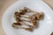 Multiple chicken bones on a white plate