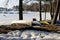 Multiple Colorful Kayaks and Canoes Parked on a Beach in Espoo during Spring