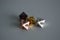 Multiple d8 eight sided dice die copper silver gold black