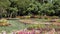 Multiple flower beds at the Dallas Arboretum