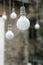 Multiple hanging light bulbs