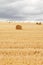 Multiple hay bales laying in field