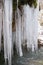 Multiple icicles forming on rock