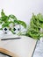 Multiple indoor plants and a blank notebook on a office desk in a bright white interior creating a no stress work environment